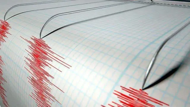 Землетрясение в 2-3 балла почувствовали жители Шымкента и Тараза