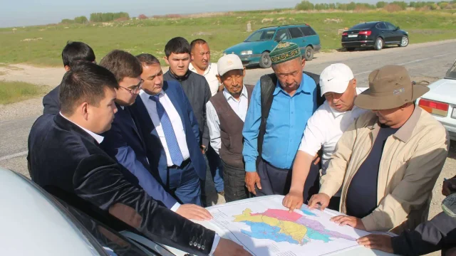 В Южном Казахстане начали борьбу с саранчой