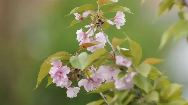 Какая погода ждет казахстанцев в мае?