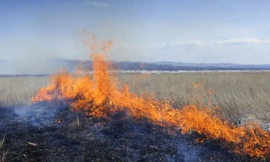 Пожар