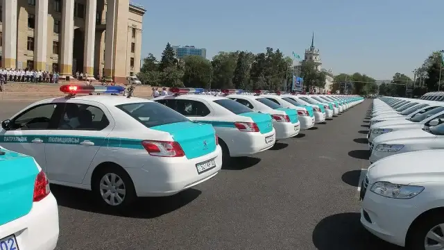 ДВД и местную полицейскую службу планируют объединить