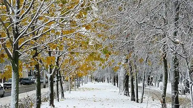 Когда в Алматы выпадет первый снег