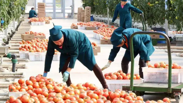 Казахстан планирует расширить доступ сельских предпринимателей к финансированию