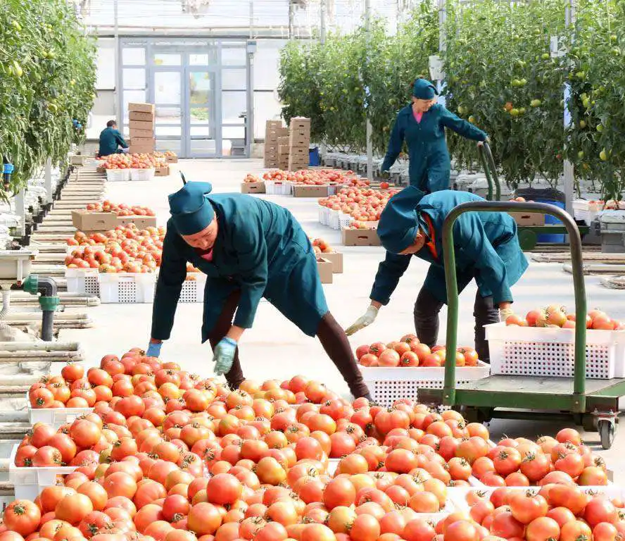 Алматинская область по объему валовой продукции занимает 1-ое место