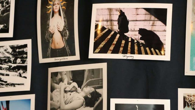 Ирина Дмитровская стала лучшим фотографом 2017 года