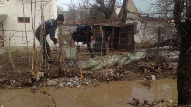 В Алматинской области подтопило еще 70 дворов