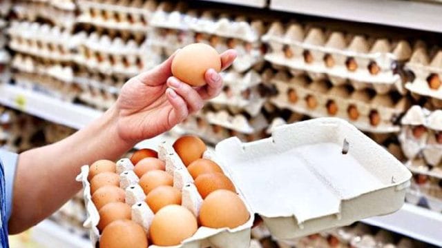 Как изменилась стоимость яиц в Казахстане