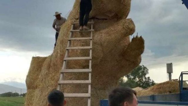Казахстанские студенты сделали белку