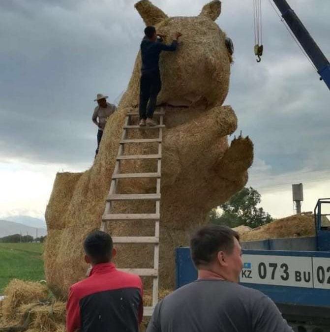 Казахстанские студенты сделали белку