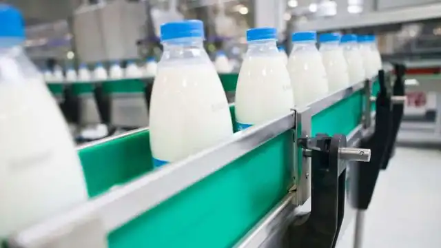 Производство молока в Казахстане приблизилось к рекордным показателям