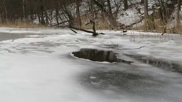 Трое детей утонули в Алматы. Аким выразил соболезнования