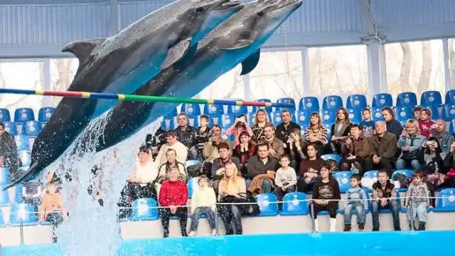 В Казахстане закроют дельфинарии