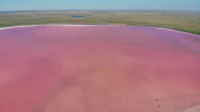 Кобейтуз