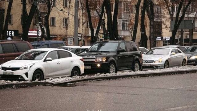 Снизить ставки утильсбора призывает депутат