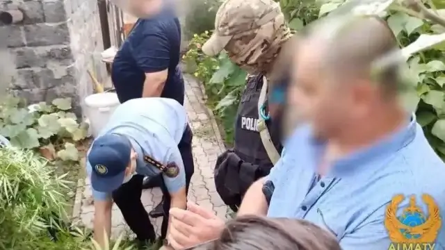 Почти 24 кг марихуаны изъяли у алматинца