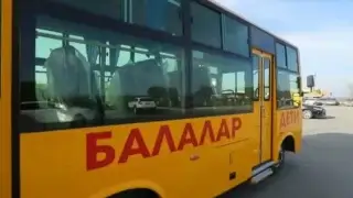 школьные автобусы