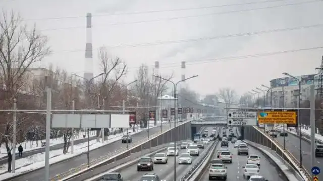 Почти 6 миллионов машин: как изменилась автомобилизация Казахстана