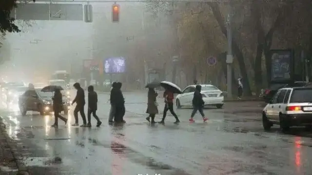 Дождь и мокрый снег прогнозируют в Алматы