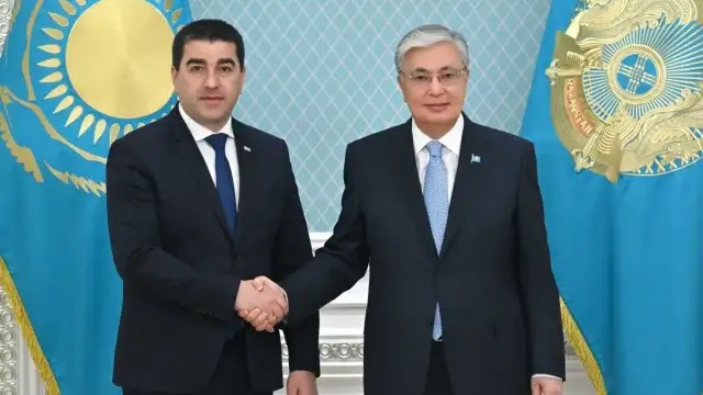 Глава государства принял председателя Парламента Грузии