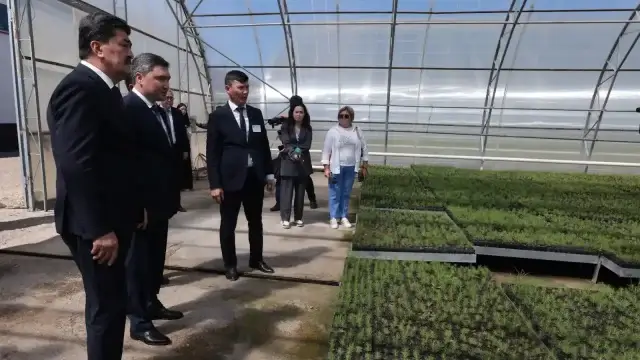 Премьер Бектенов назвал незаконных вырубщиков «врагами государства»