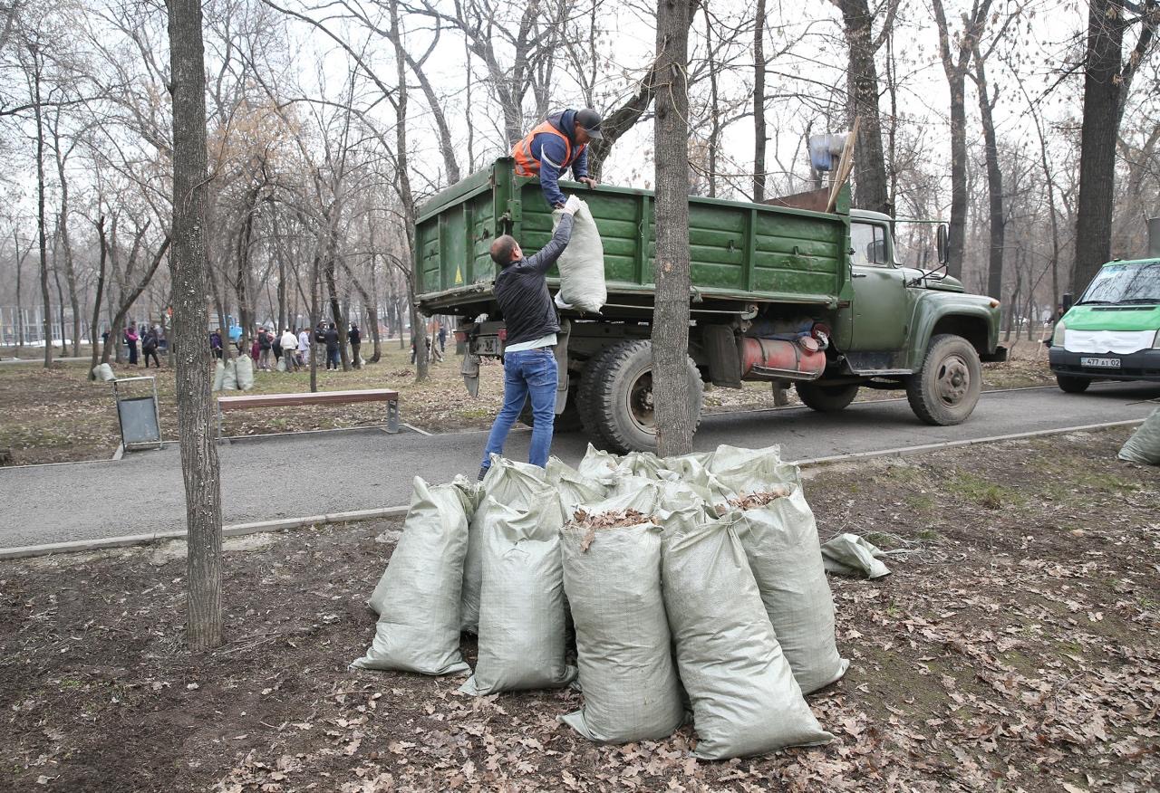 Уборка, Таза Қазақстан