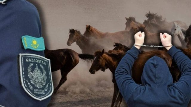 В области Жетысу раскрыли кражу племенного скота на десятки миллионов тенге