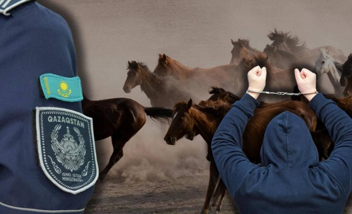 В области Жетысу раскрыли кражу племенного скота на десятки миллионов тенге