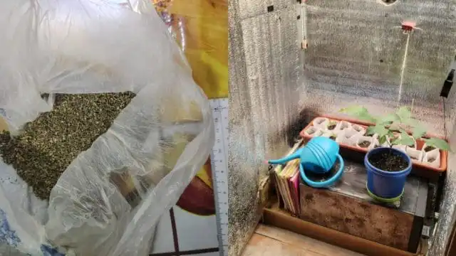 Нарколабораторию в шкафу ликвидировали в Акмолинской области