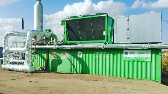 В Казахстане из куриного помёта получают электричество и доход