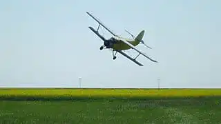 Самолет Ан-2 разбился в Павлодарской области: один пилот погиб
