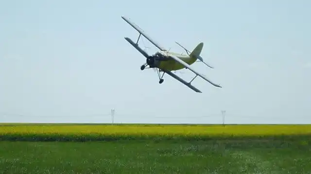 Самолет Ан-2 разбился в Павлодарской области: один пилот погиб
