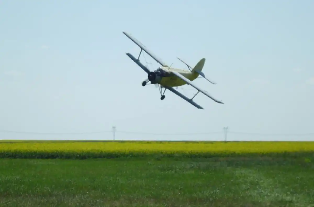 Самолет Ан-2 разбился в Павлодарской области: один пилот погиб