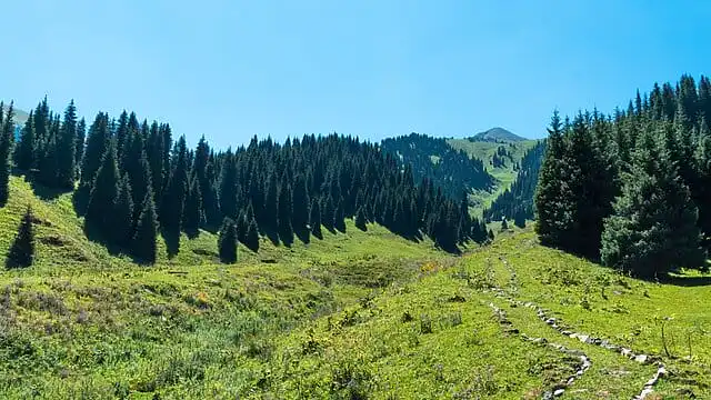 Строительство горного курорта удержит молодёжь в стране: на слушаниях по Almaty SuperSki обсудили создание 15 тысяч рабочих мест