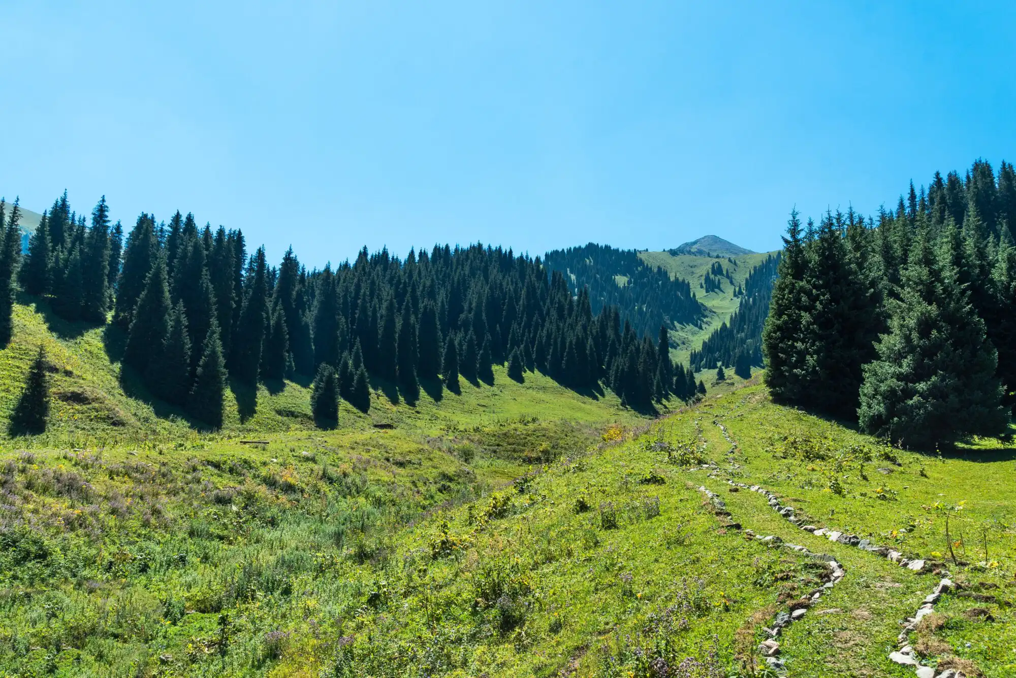 Общественные слушания завершены: проект Almaty SuperSki получил поддержку