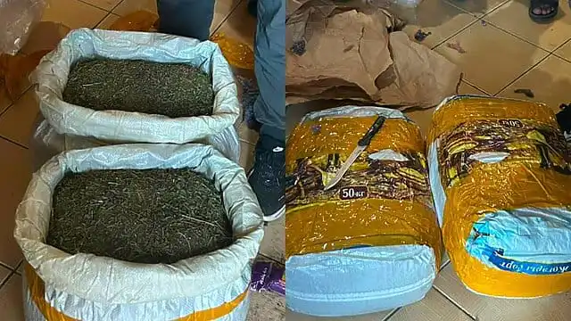 В Мангистау изъяли почти 20 килограммов марихуаны и задержали подозреваемого