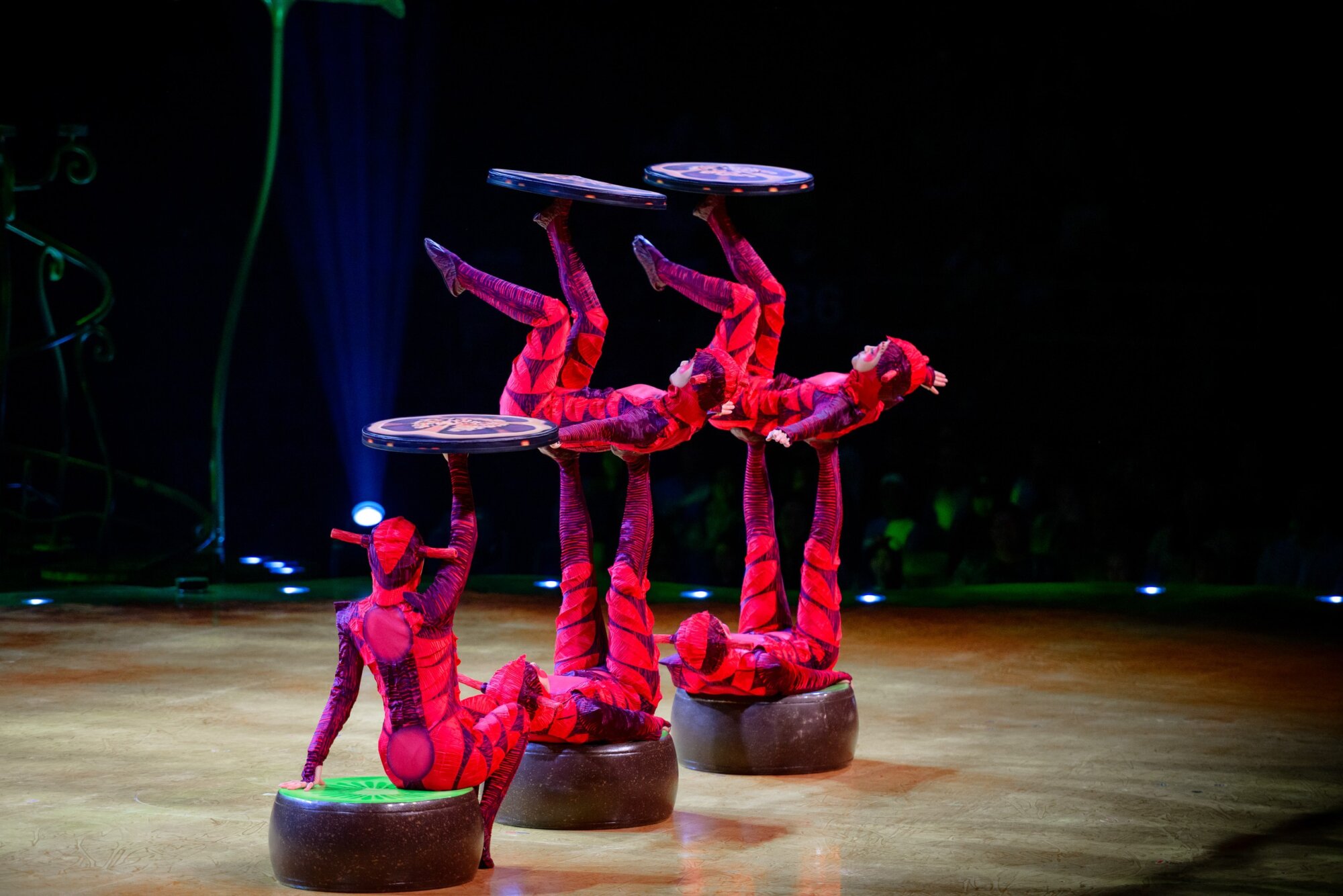 Секреты закулисья и аншлаг на премьере: как Cirque du Soleil открыл гастроли OVO в Алматы 8 Секреты закулисья и аншлаг на премьере: как Cirque du Soleil открыл гастроли OVO в Алматы