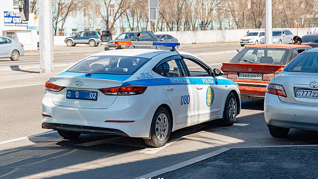 Патруль, полиция. гай