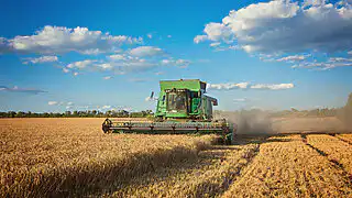 В Минсельхозе исключили дефицит топлива для сезонных полевых работ