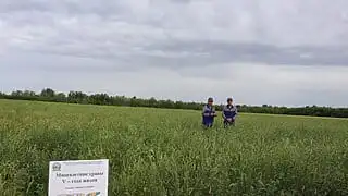 Казахстанские ученые запатентовали новый способ восстановления пастбищ