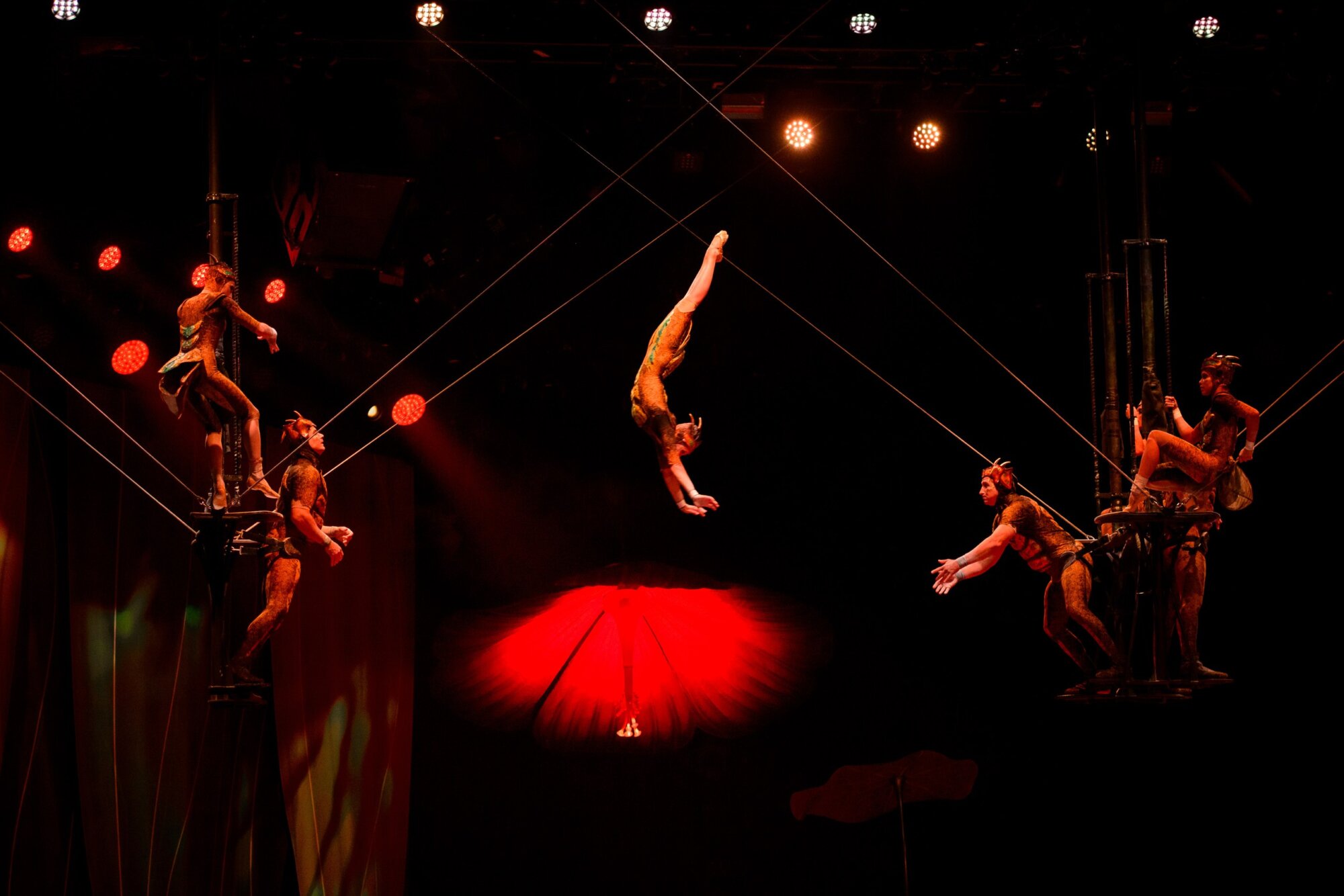 Секреты закулисья и аншлаг на премьере: как Cirque du Soleil открыл гастроли OVO в Алматы 10 Секреты закулисья и аншлаг на премьере: как Cirque du Soleil открыл гастроли OVO в Алматы